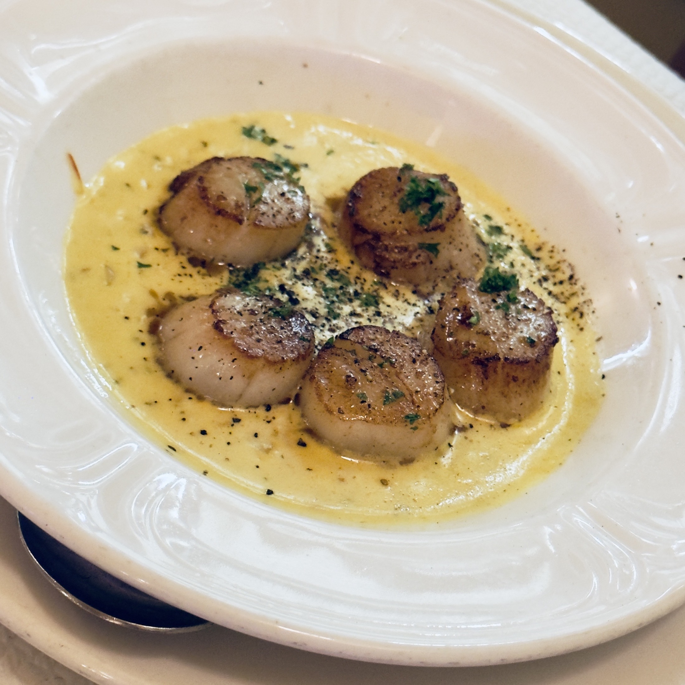 Seared scallops in a rich cream sauce